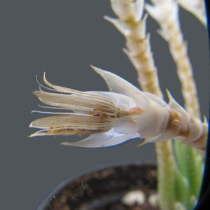 2010-07-17 15-14-13_0003