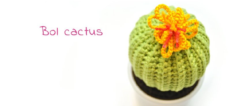 bol-cactus