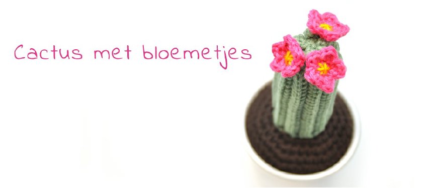 cactus-met-bloemetjes