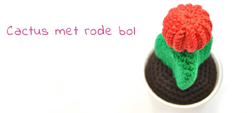 cactus-met-rode-bol