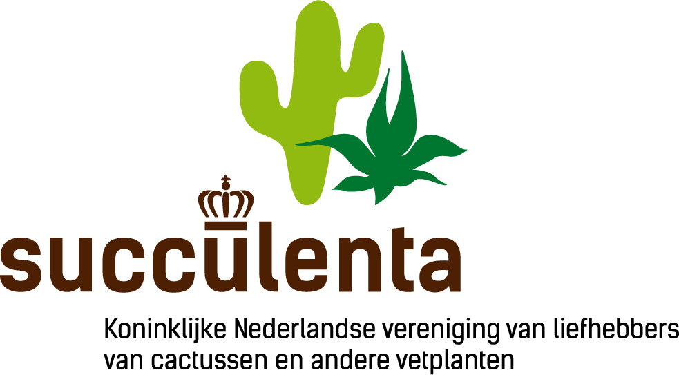 Succulenta