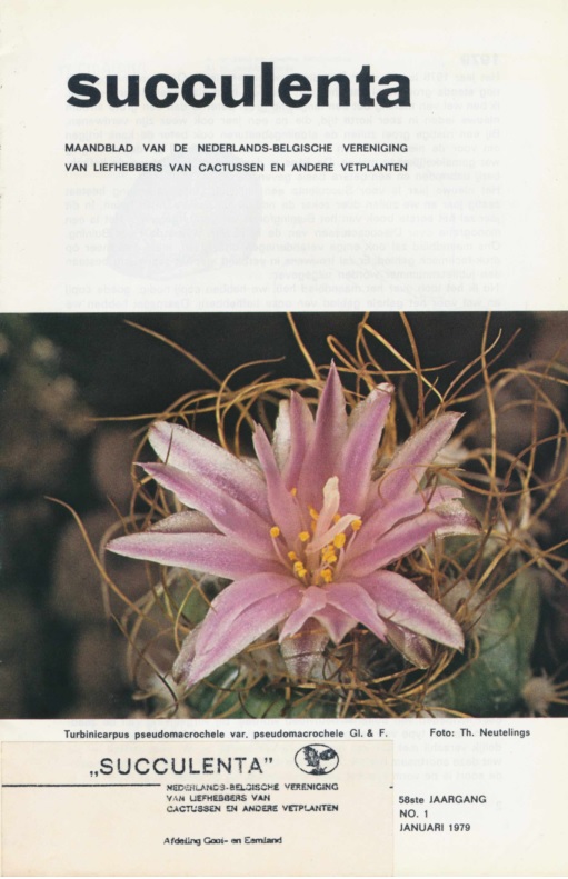 cover januari 1979