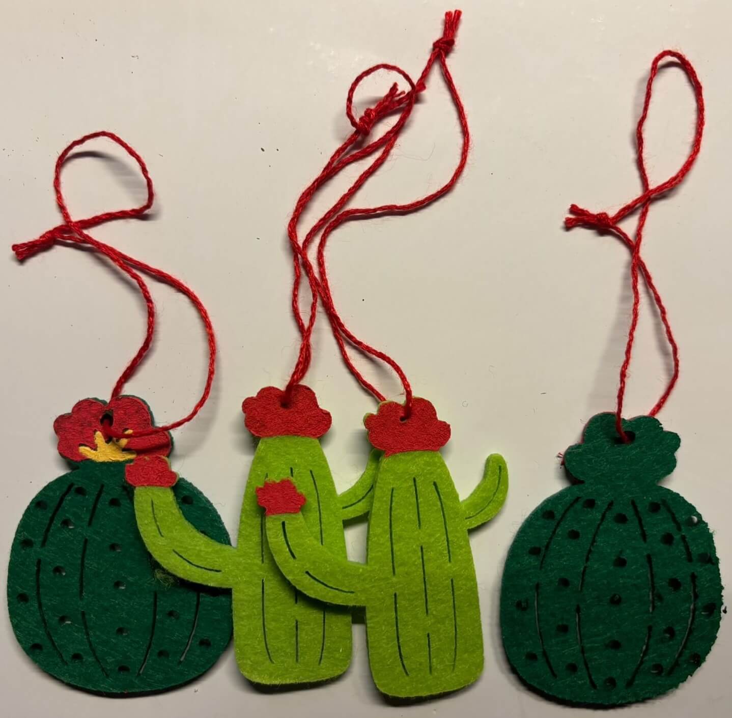 Cactusjes van vilt