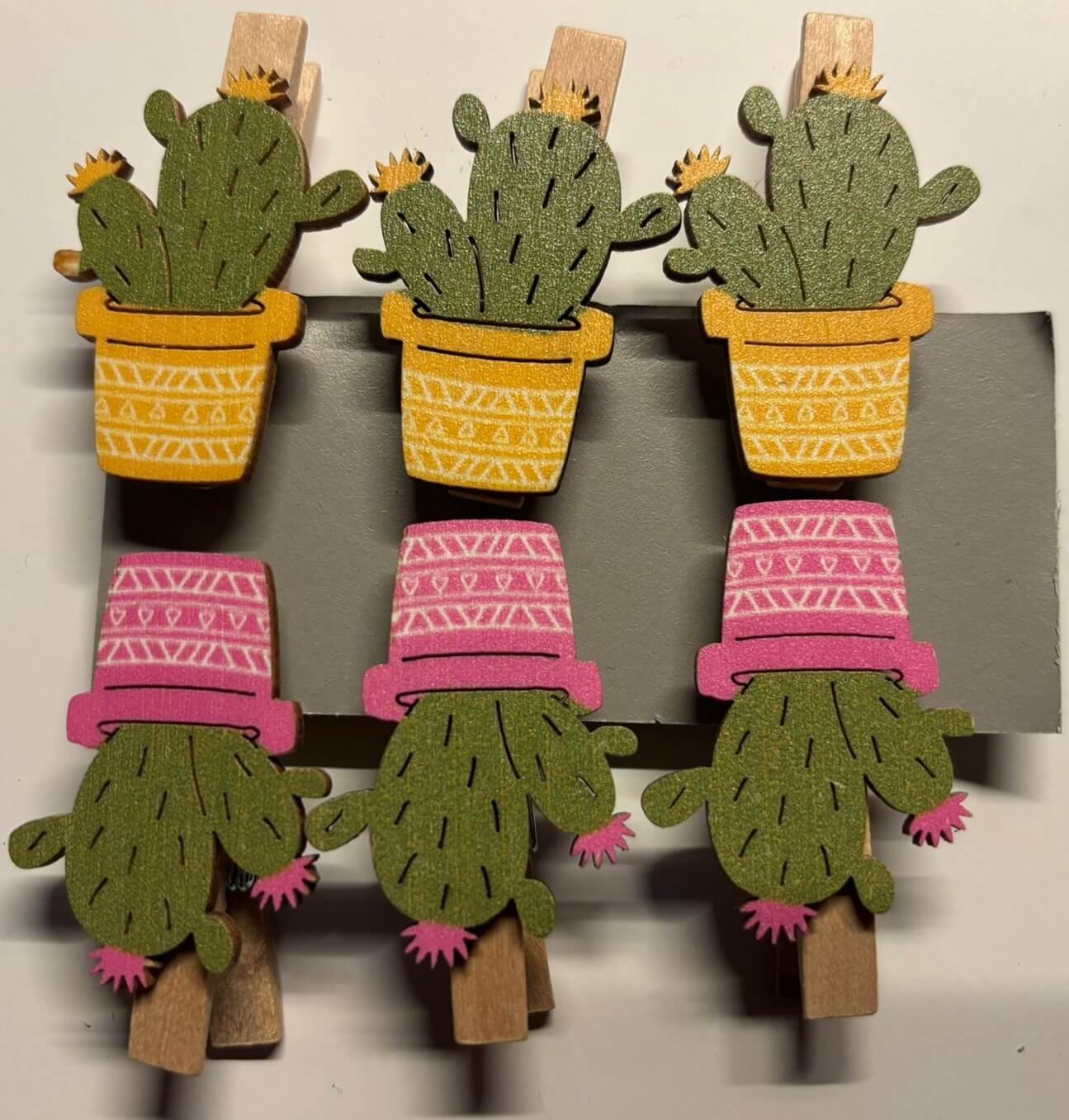 Houten cactus op Wasknijper